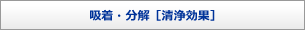 吸着・分解（清浄効果）